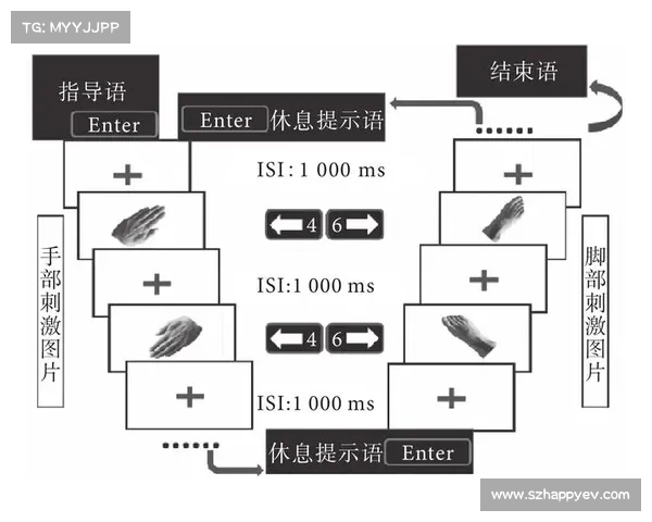 运动心理学在提升运动表现与心理调节中的关键作用及应用探析